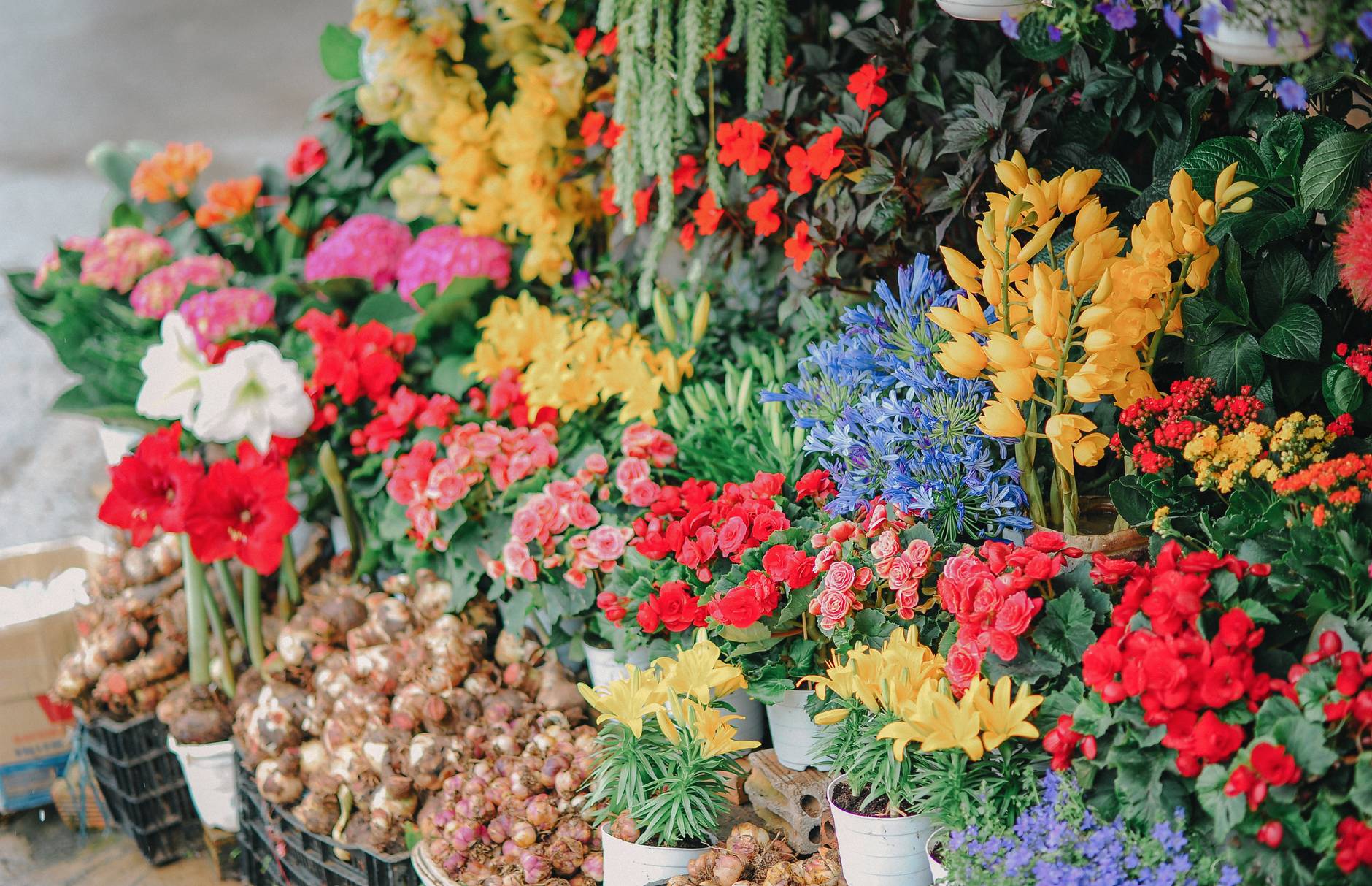 assorted flowers on crates