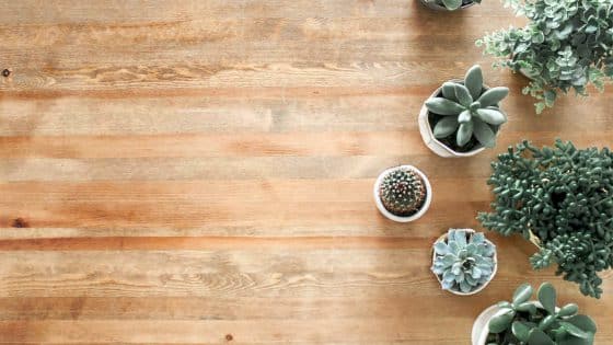 above ground photo of succulent plants on brown wooden board