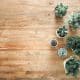 above ground photo of succulent plants on brown wooden board