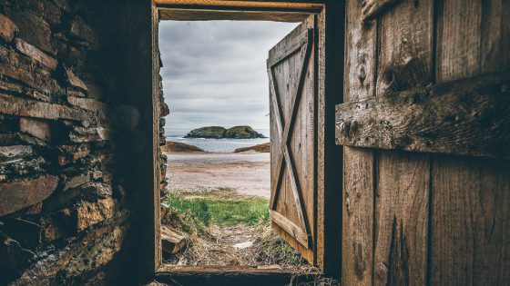 brown wooden opened door shed